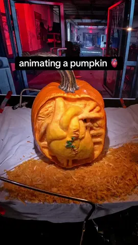 The Making of “The Heartbeat” 🎃🫀 #stopmotion