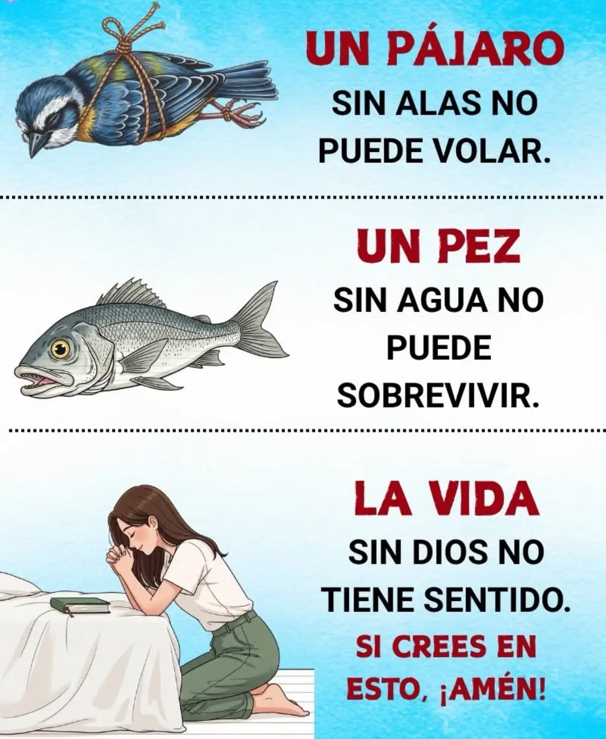 #dioslosbendiga🌹💖🙏 #Dios #oremosporcuba🙏🙏🙏🇨🇺🇨🇺🇨🇺🇨🇺🇨🇺🇨🇺🇨🇺 #oremos #elseñoresmipastor 