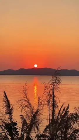 #جربة_مدنين_بنقردان_جرجيس_تطاوين 