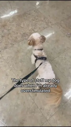 Like hoe is you cool #foryourpage 