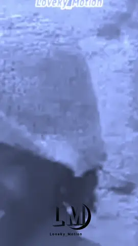 Loveky_Motion #creatorsearchinsights #conseil #fyp #motivation #videoviral 