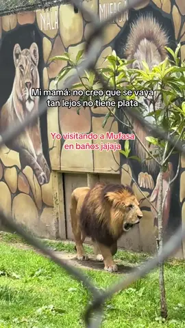 Jajajajaj 🙈❤️ #bañosdeaguasanta #bañosecuador #viajes #animalpark #fyppppppppppppppppppppppp 