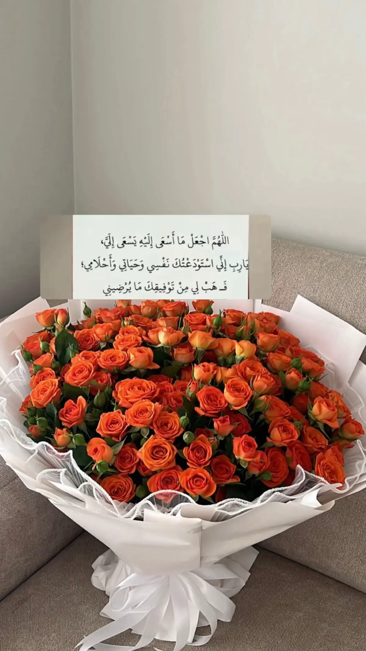 #فذكر_فإن_الذكرى_تنفع_المؤمنين #كسبلور_explor #قران_كريم #اكسبلورر #سبحان_الله_وبحمده_سبحان_الله_العظيم 