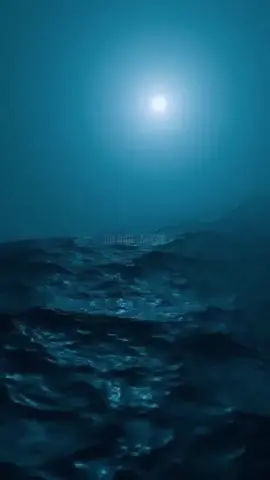 Enigma ❤️🩵#90smusic #sandra #cretu #foryoupage #dilbarmusic 