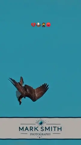 @ادريس التارقي 🇸🇩🫶🇳🇪♓♓✌️🦌 