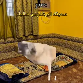 سويله منشن سريع 😂😂. @S #ميمز😂  #الشعب_الصيني_ماله_حل😂😂 #ضحكلونة #رياكشنات_مضحكه_منوعه❤😂 #شاركها_مع_اصحابك 