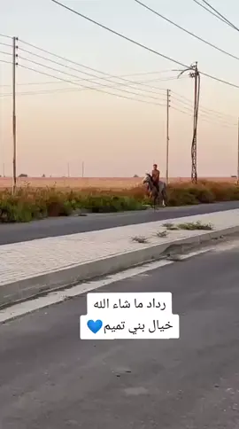 #خيل_وخياله🐎 #خيل_عربي 