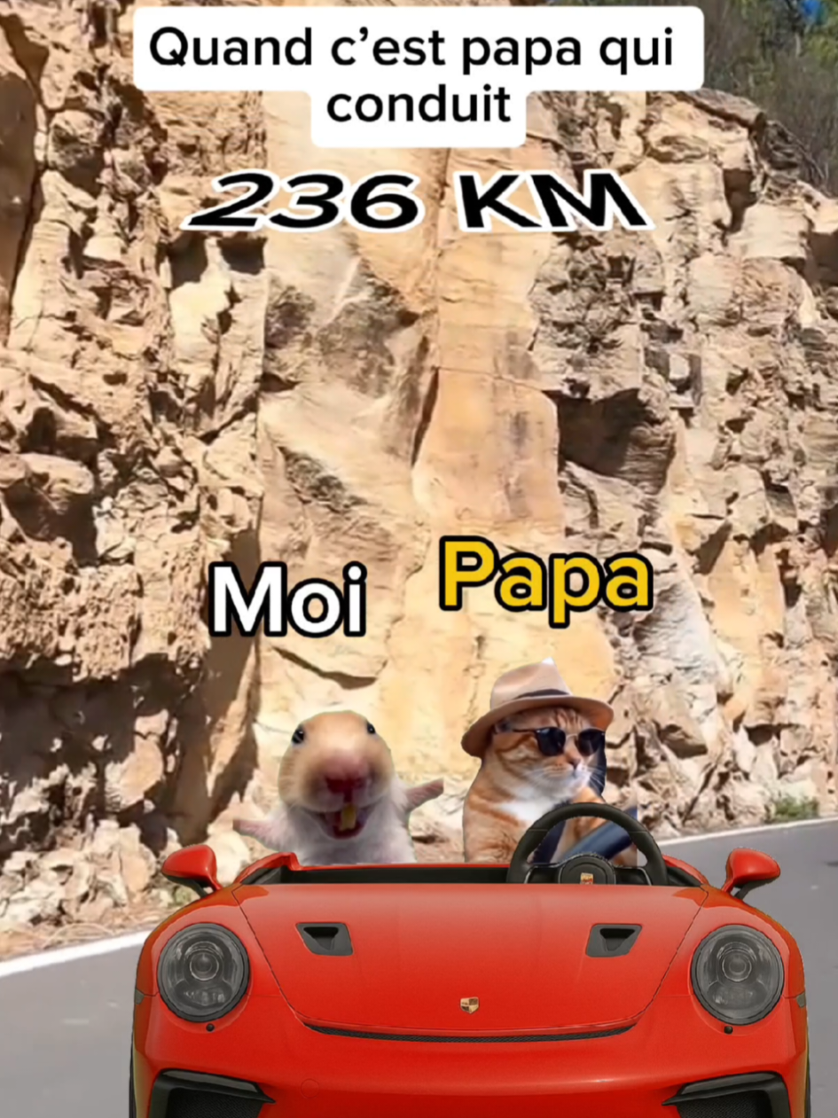 POV: Quand c’est maman qui conduit VS quand c’est papa qui conduit #sketch #pov #drole #catmeme 