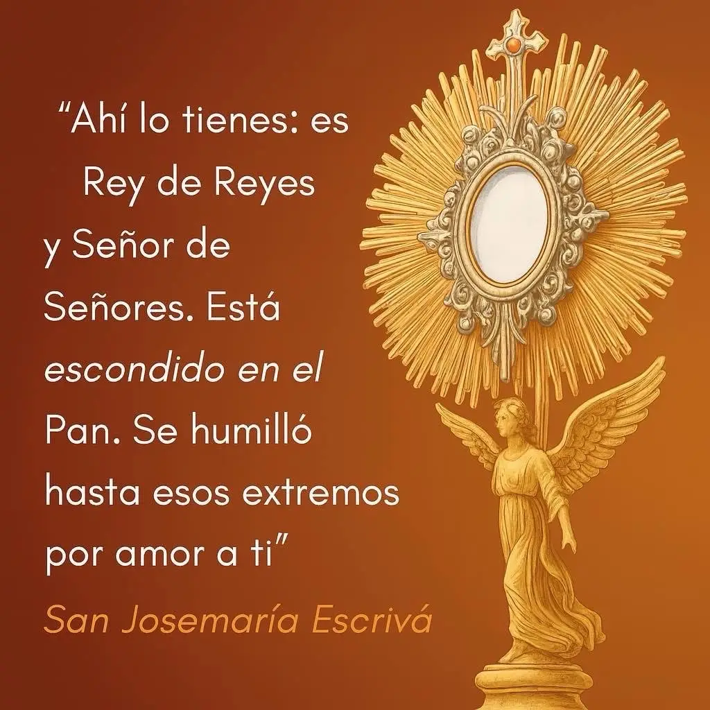 #parati #videocatolico #oracionesdiarias 