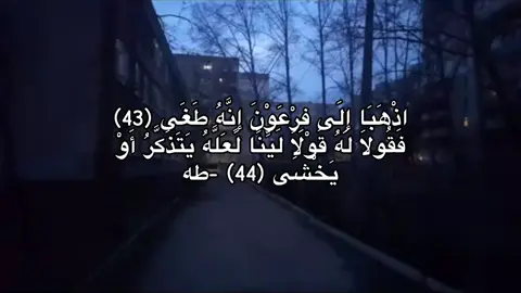 طه ايه٤٣-٤٤.                         #استغفرالله #foryoupage #quran #4u #tiktok 