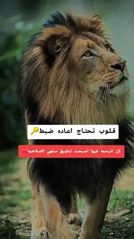 #محظور_من_الاكسبلور🥺 #الشعب_الصيني_ماله_حل😂😂 