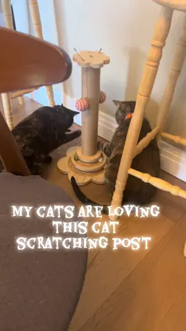 Definitely recommend this scratching post for your #cats ! #scratchingpost #tiktokshop 
