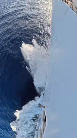 The song is playing in my mind🥺✨ #titanic #rmstitanic #cruiselife #cruisetok 