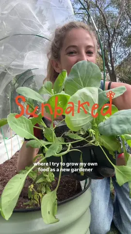 sunbaked - ep 2. any & all gardening tips welcome over here plz & ty 🫶👩🏼‍🌾