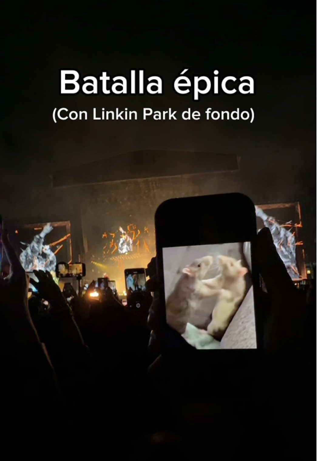 Toda mi vida por este momento😍 #linkinpark #fyp #concierto #musica 