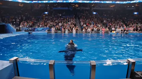 #jessica #orca #fyp #videoviral #trendiing 