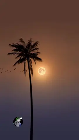 حبك في قلبي دايم  #djviral #remix #شعبيات #remix #شعبي_مغربي 