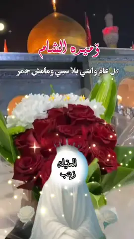 #متباركين_يا_شيعة_؏ـلي🦋💕 #ولادة_السيدة_زينب_عليها_السلام 
