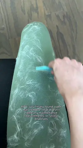 if owning pets had a cheat code, this would be it.