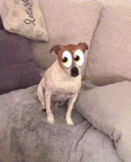 Ok last one frfr👀👀👀👀