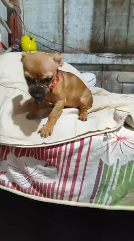 vamos ajudar a nami chegar em 10k de seguidores ⁉️um sorriso lindo desse merece muito 🔥🔥