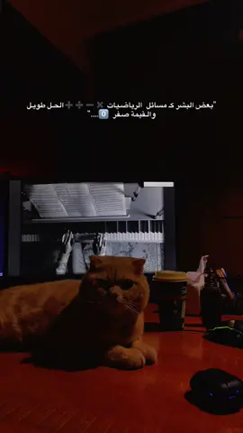 الكاتب #الكاتب_📚✍🏻__ .❤️