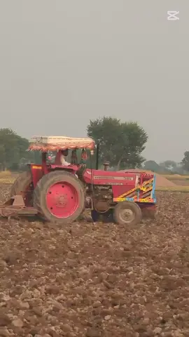 alhamdulillah  🤲🥔💫👍🚜🥔