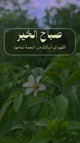 #صباح_الخير #صباحكم_معطر_بذكر_الله
