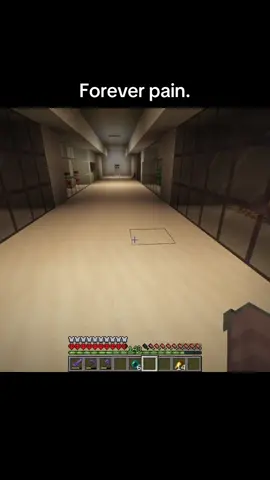 They deserve this  #Minecraft #scliffer #funny