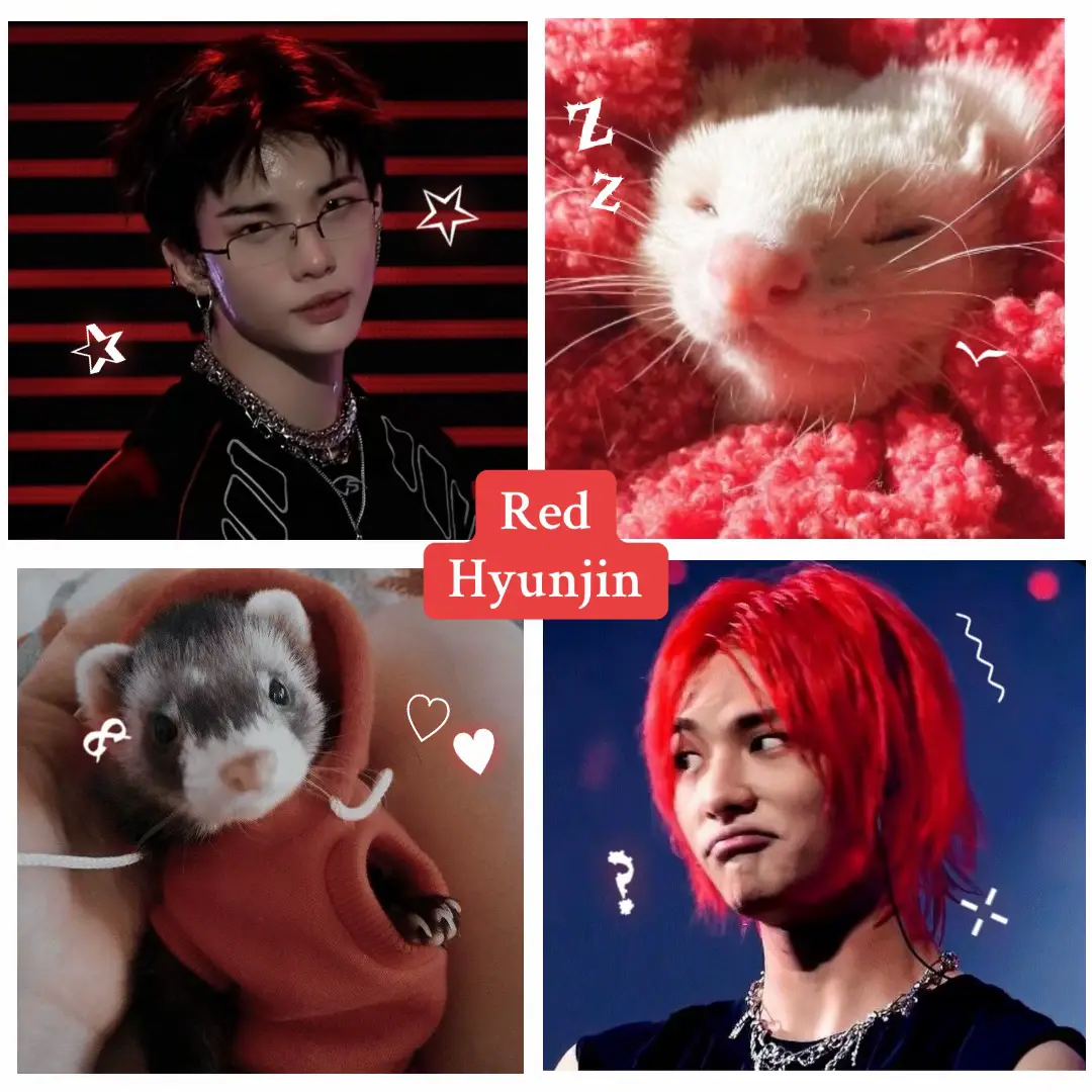 Hyunjin makes me happy too. I made a Jeongin version too - first video I did #hyunjin #ferret #kpopfypシ #straykidsfyp @𓆩⌑~♥️Cathy♥️~⌑𓆪 ⁡
