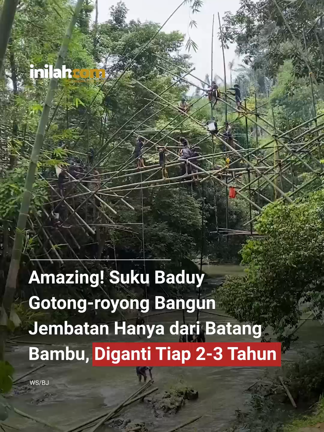 Tanpa baja, tanpa paku, tanpa semen, tanpa alat berat? Jelas, tanpa APBD, tanpa Dinas PU? Gak Tau... Yang jelas hanya bambu, tali, dan kebersamaan. Begini cara Suku Baduy membangun jembatan gantung mereka — kuat, lentur, dan penuh makna. Setiap 2–3 tahun, mereka gotong-royong menggantinya. Bukan karena rapuh, tapi karena mereka tahu: 💬 Yang kuat bukan bangunannya, tapi rasa saling menopang di antara mereka. Sumber: Instagram Kang Asep Baduy — 📰 Baca berita di inilah.com #inilahNews #InilahCom #TitikTengah #TitikCerah #SukuBaduy #KearifanLokal #IndonesiaAmazing #GotongRoyong #InilahIndonesia #BudayaNusantara