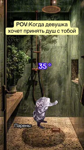 Wenn deine Freundin mit dir duscht  #humor#katze#lustig#memes#miniserien  