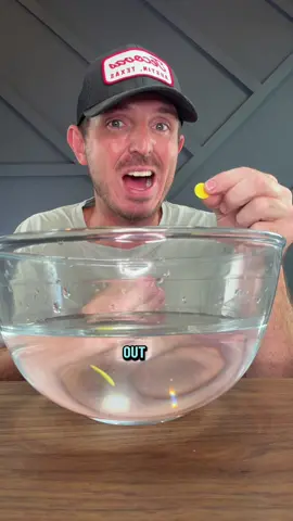 Energy, stamina, mood regulation, endurance, muscle growth, libido, and more. Alpha Gummies can provide a ton of vitamins and provide a minerals to help make sure your body is running in top shape. #shilajit #HealthMustHaves #testosterone #musclegrowth #tiktokshopblackfriday 