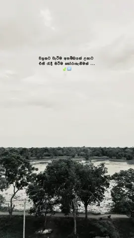 2න් 1ක් තෝරගන්න🔆🌀 . . #foryou #fypシ #philosophy #foryoupage #නිර්වාණාවබෝධය_උදෙසාම_හේතු_වේවා #නිවන්_මග_සොයා #true #තෝරගන්න #2 #1 #ditti🍃 