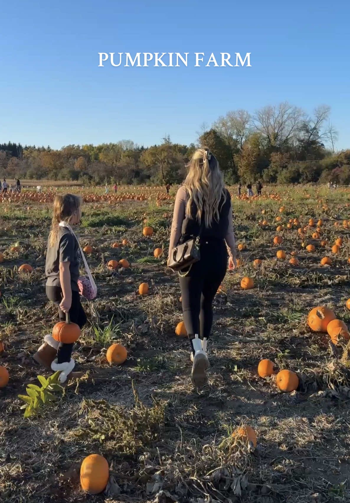 Pumpkin farm ASMR 🎃🍁🍂 #dayinmylifevlog #fallvibes #pumpkinfarm #asmr #momlife 