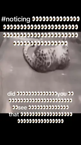 I did see 👀👀👀👀👀👀👀👀👀👀👀👀👀👀👀👀👀👀👀👀👀👀👀👀👀 #noticing #funny #gif#meme #giftok 