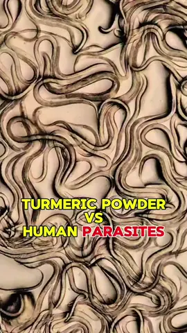 #turmeric #microscope #experiment #parasites 