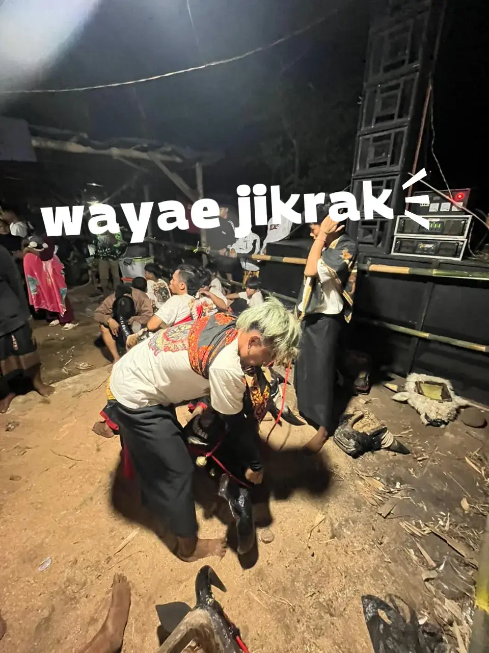 wayae #foryoupage #bantengpasuruan #fyp @SATRIO LEMBU SAKTI 