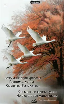 #цитаты #умныемысли #мудрыеслова #цитатывеликих #золотыеслова 