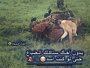 اعاده نشر تعليق نكليزي محضور💔😒 #عباراتكم_الفخمه📿📌 #مصمم_فيديوهات🎬🎵  #متابعه_ولايك_واكسبلور_احبكم #عبارات_جميلة_وقويه😉🖤  #تصميم_فيديوهات🎶🎤🎬 