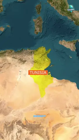 Une semaine exceptionnelle : les jeunes lecteurs de Tunisie triomphent, les enfants du Maroc conquièrent le monde du football, Trump plaide pour la paix entre l’Algérie et le Maroc, tandis que le monde, de Paris à Kiev, s’agite sous le poids des événements. #tunisie #maroc #algerie 