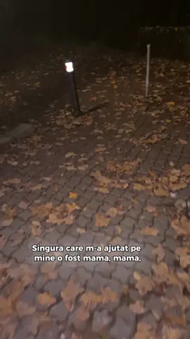 #CapCut #forest #mama #fyp 