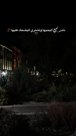 #قونيا_علاءالدين #اخر_اشي_نسختو💭🥀 #قونيا_علاءالدين #محمود_الياسر #تصويري📸 