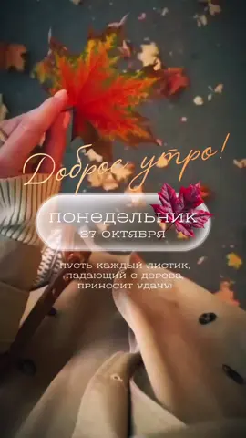 #доброеутро  #хорошегодня  #top 