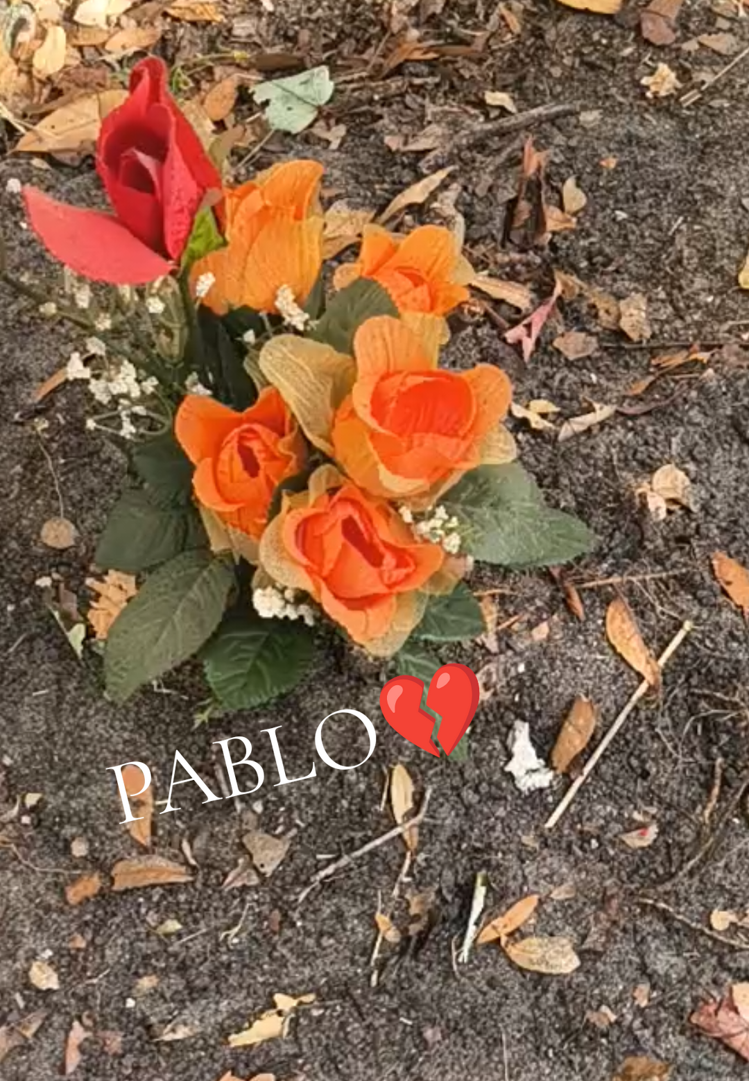 LAST COUPLE DAYS BEEN SO TOUGH I JUST KNEW HE WAS GOING TO COME BACK AROUND TO HIS NORMAL SELF MY FIRST BEARDIE MY BABY MY HEART SO BROKEN NOTHING LIKE LOOSING A PET CUT SO DEEP HOPEFULLY I CAN COME BACK AROUND FROM THIS RIP TO MY BABY #petlost #griefjourney 