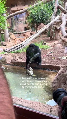 #mono #fyp #hermano 