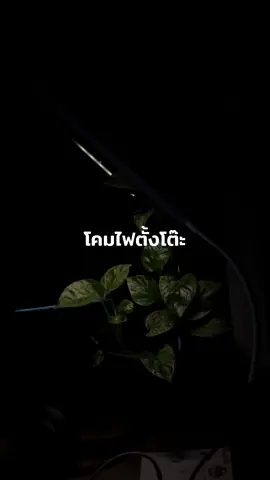 แสงนี้นะนอนสบาย บรรยากาศอบอุ่นมาก #โคมไฟตั้งโต๊ะ #โคมไฟแต่งห้อง  #โคมไฟมินิ 