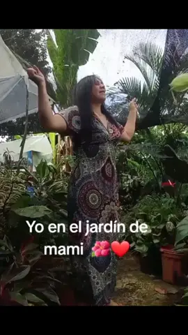 ya casi nos reunimos a la Gran fiesta con Jesús #fypシ゚ #🙌🏼🙌🏼🙌🏼🙌🏼🙏🏼🙏🏼🙏🏼🕊️🕊️🕊️🕊️ 