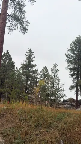 Devil’s Tower #adventure #nature #travel #photography #fyp 