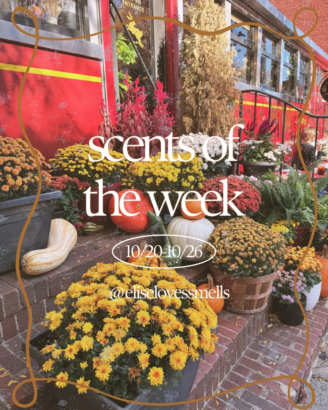 Some very autumnal vibes over here 🍂 what were your favorite scents of the week? #sotd #nicheperfume #perfumetok 